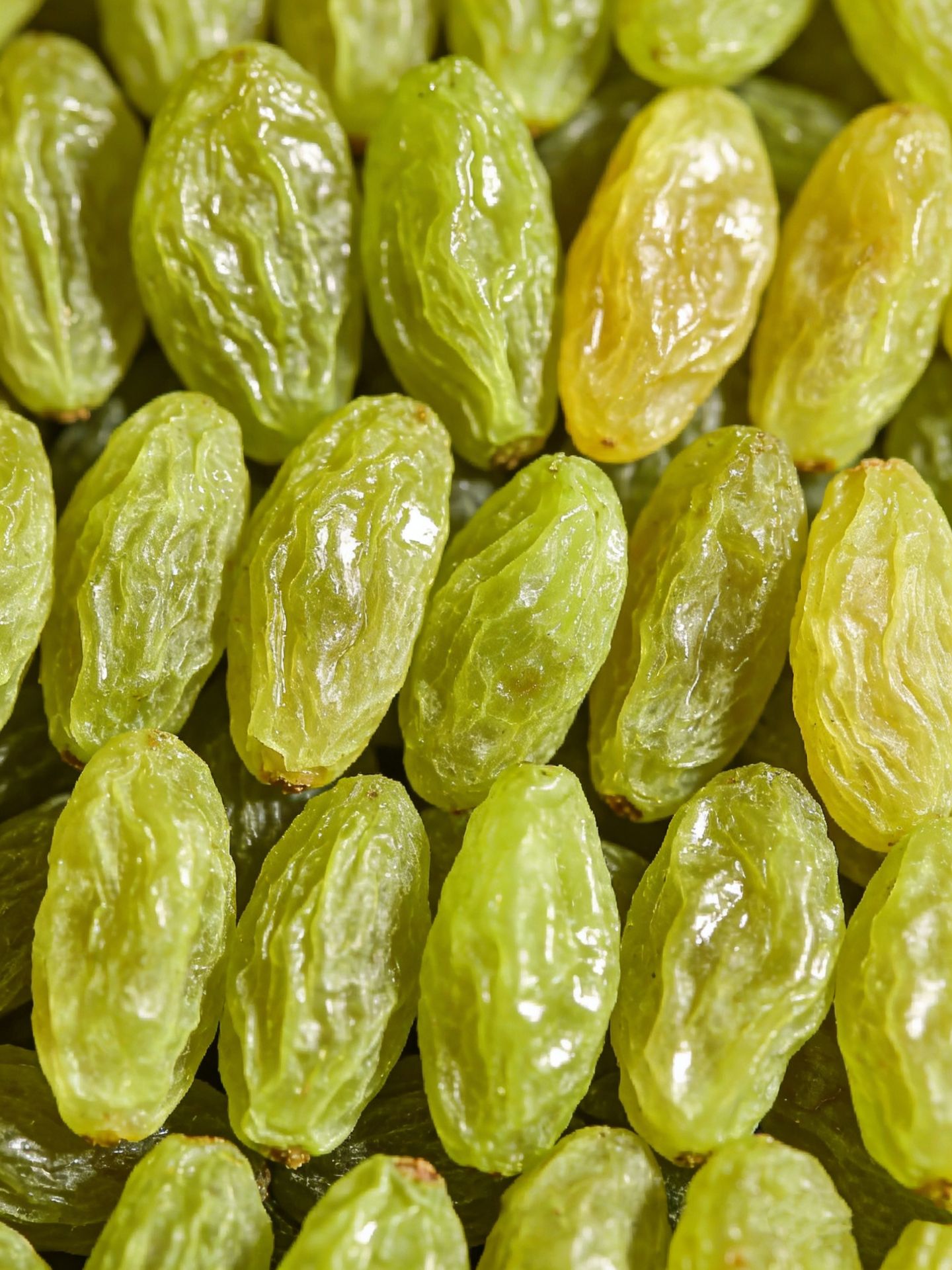 Premium Xinjiang Dried Fruits | Turpan Xintianyue